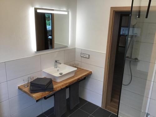 a bathroom with a sink and a mirror and a shower at Ferienwohnung Entenquack in Weisel