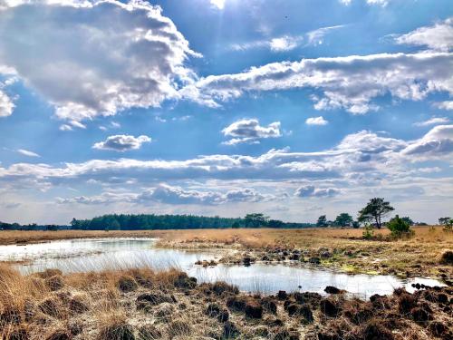 a river in a field under a cloudy sky at Sluwe Vos: ontspannen in het bos! in Otterlo
