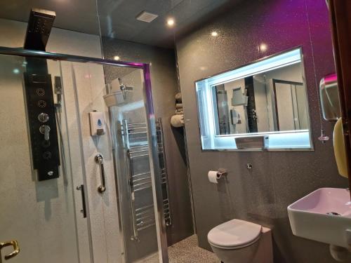 een badkamer met een toilet, een wastafel en een spiegel bij Castle Lodge - Brecon Beacons Accommodation in Sennybridge