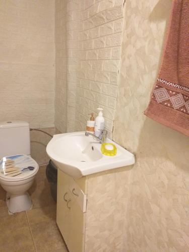 a bathroom with a sink and a toilet at Talsu nov Kolka Kopmītne 1-18 in Kolka