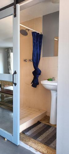 a bathroom with a toilet and a sink at Wylie Hall Guesthouse in Durban