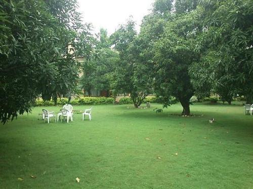 Green Resort Jim Corbett – Photos 4