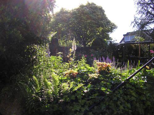 a garden with lots of plants and flowers at Walnut Lodge Bed & Breakfast in Noorbeek