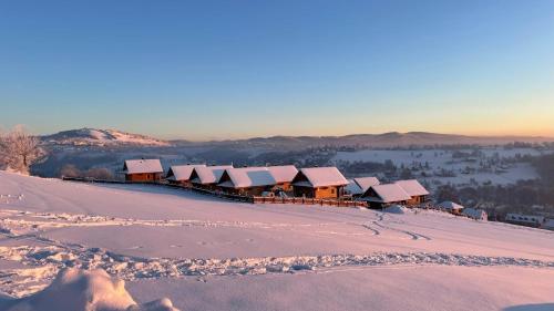 a row of houses covered in snow on a hill at Domki Na Złotym Groniu in Istebna