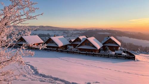 a group of wooden cabins covered in snow at Domki Na Złotym Groniu in Istebna