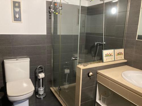 a bathroom with a toilet and a shower and a sink at A Casiña do Campo in Mazaricos