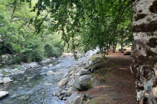 um rio com pedras e árvores ao lado de um rio em LOGEMENT AU COEUR DE PYRENEES em Aragnouet