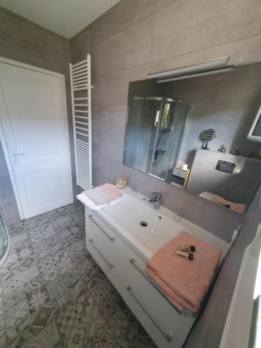 a bathroom with a white sink and a mirror at Le Cœur de la petite Cisse in Monteaux