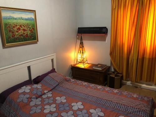 a bedroom with a bed and a lamp and a painting at Guesthouse Rouge,3 Pièces de 40m2,séjour,salle à manger et chambre avec 2 lits double pour 1,2,3 ou 4 personnes , Rez De Chaussée, Entrée côté Rue Berzélius Paris 17,Calme,Vue sur Patio Privé Ombragé - Ligne 13 ,Stations Métro Porte de Clichy et Brochant in Paris