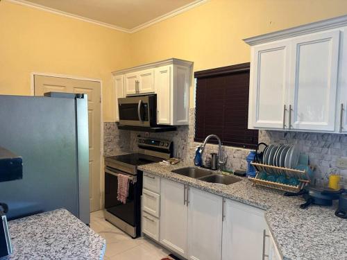 a kitchen with white cabinets and a sink and a microwave at Luxury Comfy Penthouse Red hills in Kingston