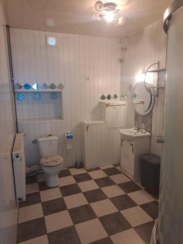 a bathroom with a checkered floor and a toilet and sink at Apartmá u Faltýnka in Brněnské Ivanovice