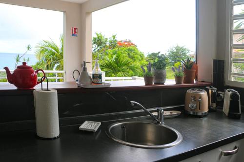 a kitchen counter with a sink and a window at Alyzes Diamant in Le Diamant