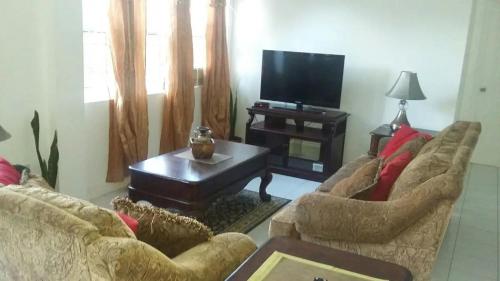 a living room with two couches and a tv at Lynn's Place in Castries