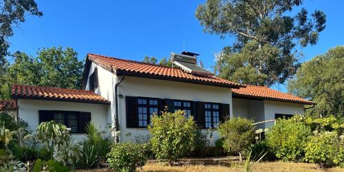 Gallery image of Quinta Do Pereiro in Tábua