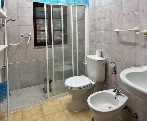 uma casa de banho com um chuveiro, um WC e um lavatório. em Quinta Do Pereiro em Tábua