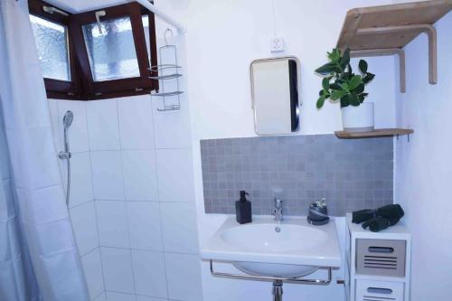ein Bad mit einem Waschbecken, einem Spiegel und einer Dusche in der Unterkunft Casa al Bosco in Gordevio