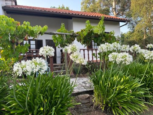 a garden in front of a house with white flowers at Quinta Do Pereiro in Tábua