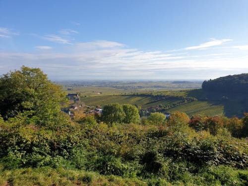 Природа в окрестностях апартаментов/квартиры