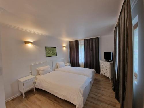 a hotel room with two beds and a television at Guesthouse Magic in Băile Herculane