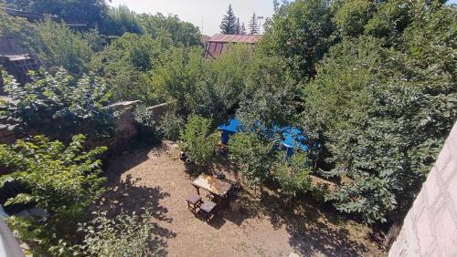 una vista aérea de un jardín con árboles y arbustos en Ohanatun - House with swimming pool in Byurakan, en Byurakan