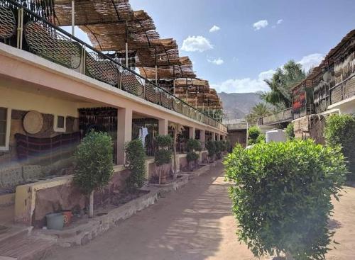 a courtyard of a building with potted trees on the side at White palace camp (ex camp David) in Nuweiba