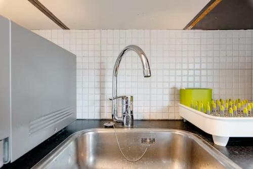 eine Küche mit einer Spüle und einer Arbeitsplatte in der Unterkunft Sky Villa in Bergschenhoek
