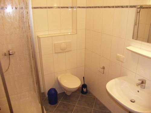 a bathroom with a shower and a toilet and a sink at Gästehaus Stephanie in Ilbesheim