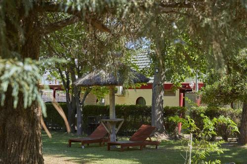 two benches and an umbrella in a park with trees at Hostal de Los Andes in Rodeo de la Cruz