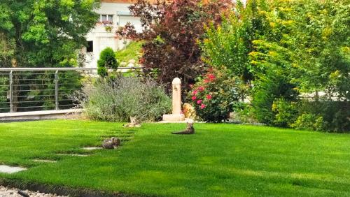een groene tuin met een standbeeld in het gras bij Agritur LA FENICE in Brez