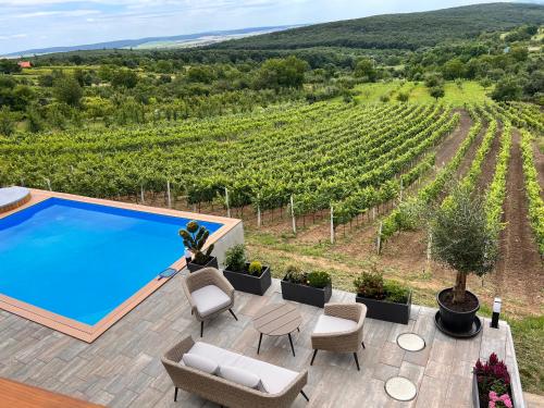 una piscina infinita en una villa con un viñedo en Edelin Wine House en Edelény