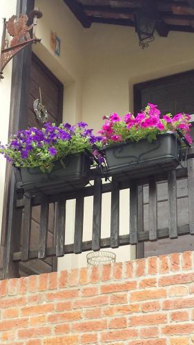 a window box filled with flowers on a wall at B&B San Martino in Mede