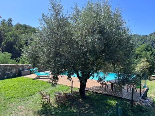 un árbol con sillas y una mesa junto a una piscina en Podere il Giardino - Casale Rustico degli Ulivi con piscina e parco - Lucca, en Loppeglia