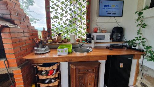 a counter with a sink in a room with a window at Cazare la fermă in Galeşu