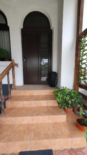 aoyer with a wooden door and a wooden floor at Cazare la fermă in Galeşu