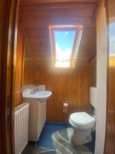 uma casa de banho com um WC, um lavatório e uma janela em Vila Mara Busteni em Buşteni