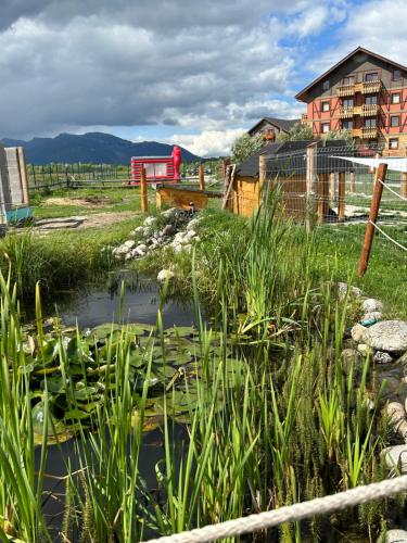 a pond with plants in front of a building at ApartLiv in Veľká Lomnica