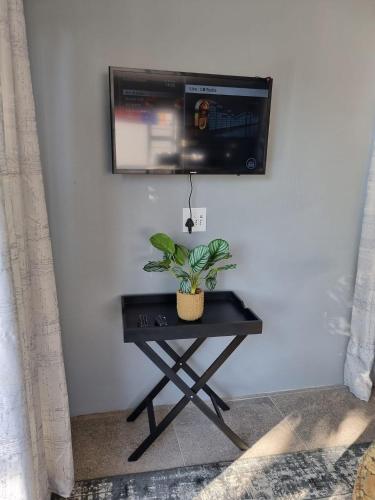 Μια τηλεόραση ή/και κέντρο ψυχαγωγίας στο Tree Aloe Guest house