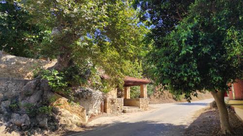 a dirt road with a tree at Kleio Studios in Ravdhoúkha