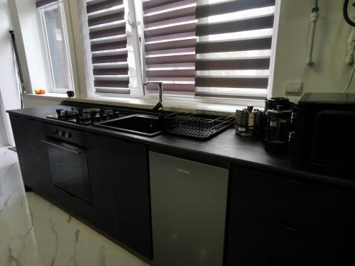Virtuvė arba virtuvėlė apgyvendinimo įstaigoje Hotel Elen