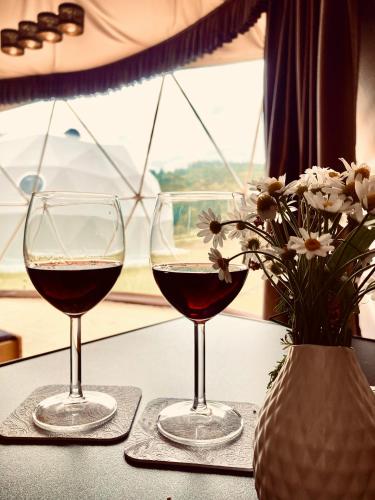 two glasses of wine on a table with a vase of flowers at Poziom 713 in Trzebunia