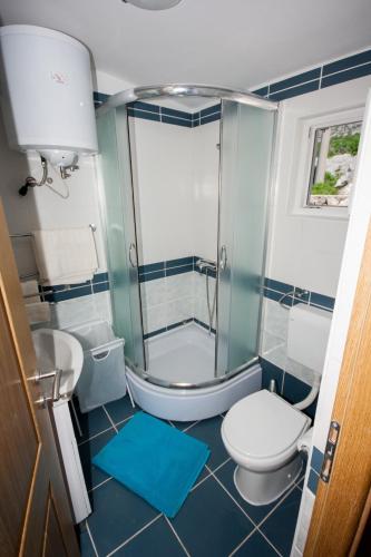 a bathroom with a shower and a toilet and a sink at Apartment Mikuš in Stinica