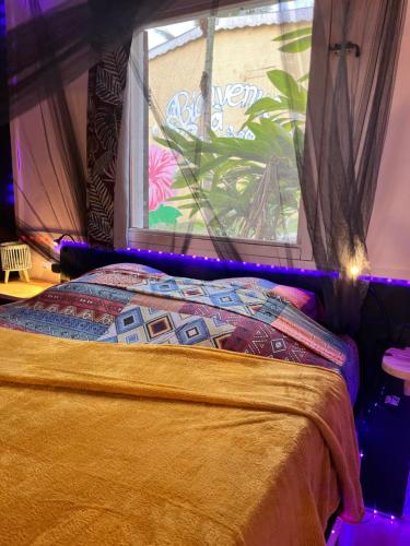 a bedroom with a bed and a window with a flower mural at Caraiba Villa & Bungalows in Sainte-Anne