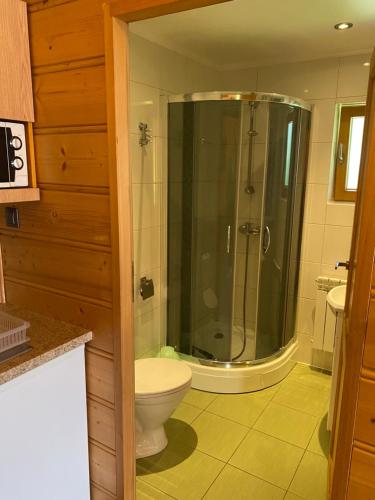 uma casa de banho com um WC e uma cabina de duche em vidro. em Domek w górach em Nowy Targ