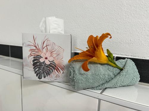 a flower in a basket next to a box on a shelf at Ferienwohnung mit Garten und Ausblick in Windorf