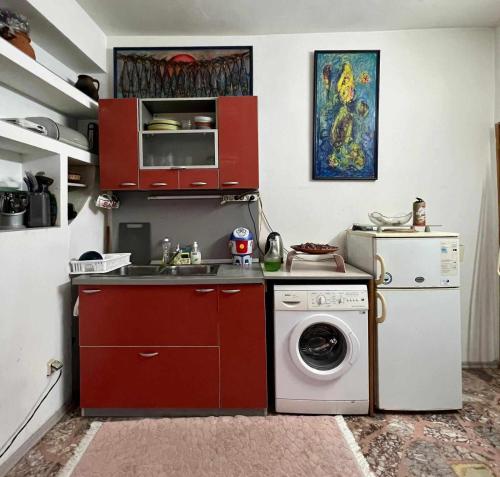 a kitchen with a sink and a washing machine at Стаи за гости Алба in Kazanlŭk