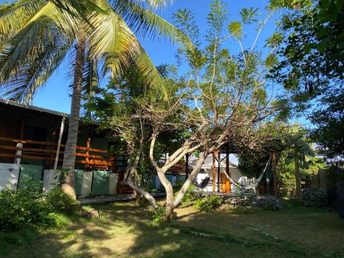 a palm tree in front of a house at La Peregrina Galapagos B&B in Puerto Ayora