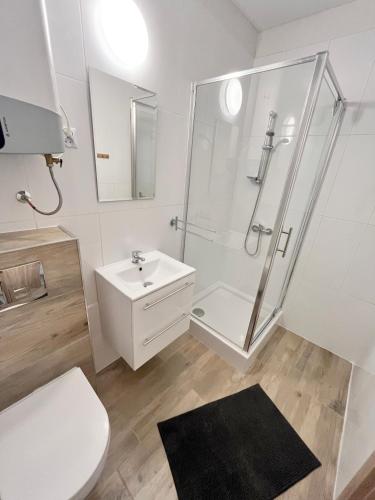 a bathroom with a shower and a toilet and a sink at Domek Letniskowy Soluch in Rewal