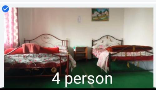 1 dormitorio con 2 camas y suelo verde en Everett Hut, en Darjeeling
