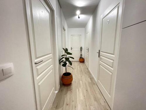 a hallway with two white doors and a potted plant at Superbe chambre avec terrasse (clim optionnel) in Bagneux