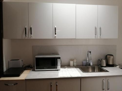 a kitchen counter with a microwave and a sink at Park 1 MARKO FREE PARKING in Vranje